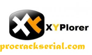XYplorer Pro Crack 21.90.0000 & Activation Key [Latest] 2021